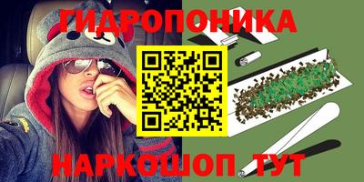 spice Ачхой-Мартан