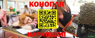спайс Аша