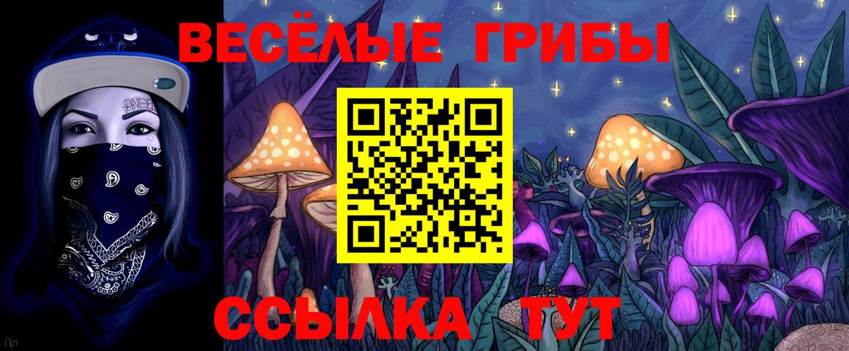 Галлюциногенные грибы GOLDEN TEACHER  купить закладку  Орск  Вход с VPN 